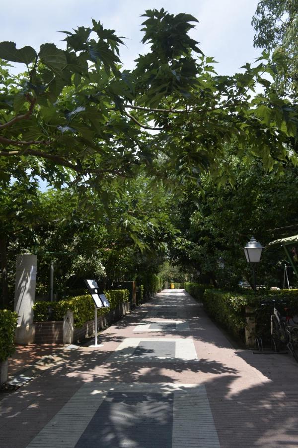 Hotel Riomar Sant Martí d’Empuries Εξωτερικό φωτογραφία