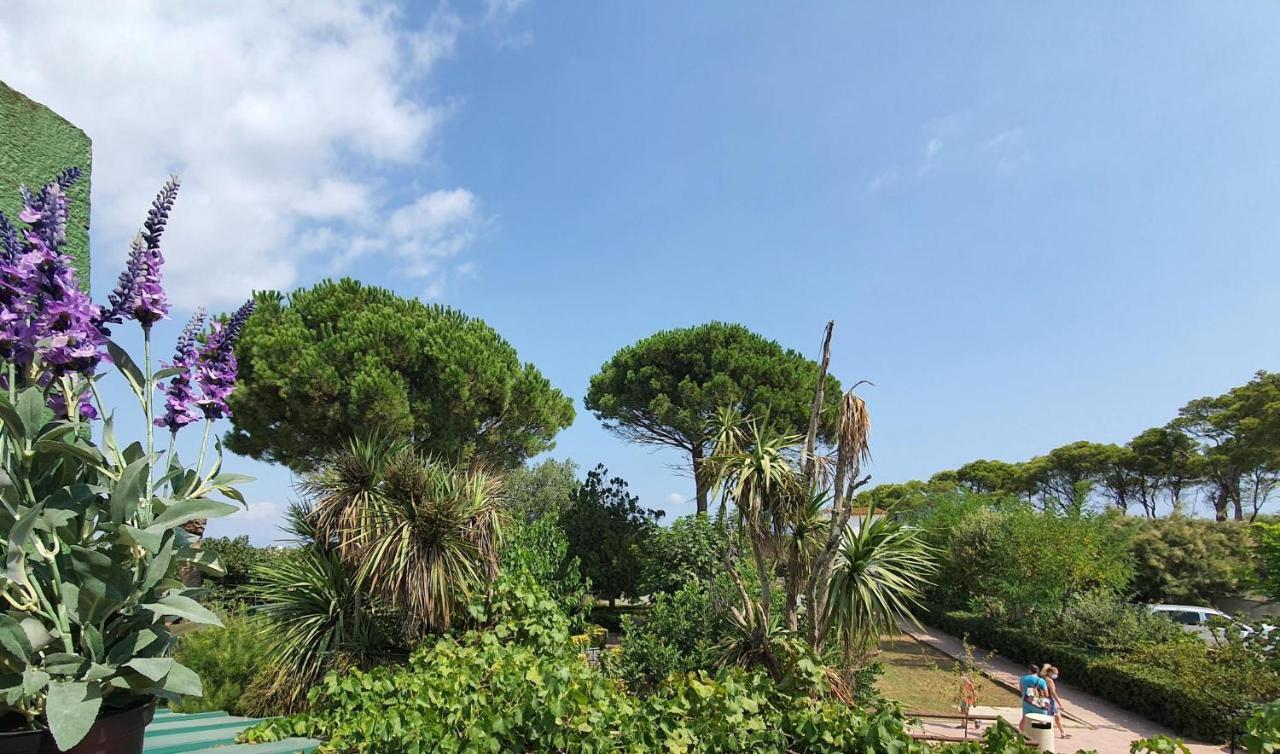 Hotel Riomar Sant Martí d’Empuries Εξωτερικό φωτογραφία